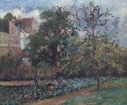 Camille Pissarro The orchard at Maubuissson,Pontoise Le verger a Maubuisson,Pontoise Germany oil painting artist